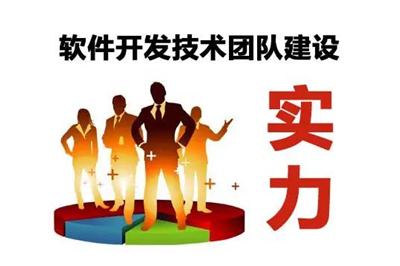 自建技術(shù)團(tuán)隊(duì)開發(fā)軟件可以嗎？