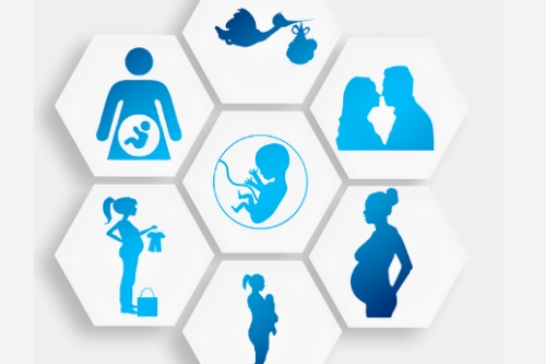 孕期指導app開發的功能包括什么(圖1)