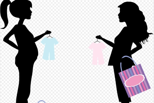 孕期指導app開發的功能包括什么(圖2)