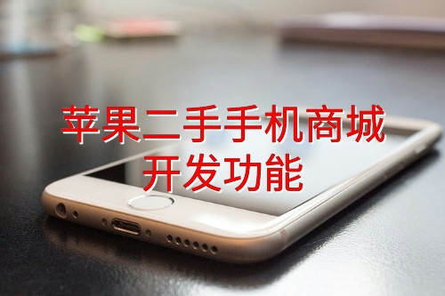 德州蘋果二手手機商城開發(fā)功能特點(圖2)