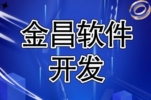 金昌軟件開發，豐富互聯網信息化項目服務經驗(圖2)