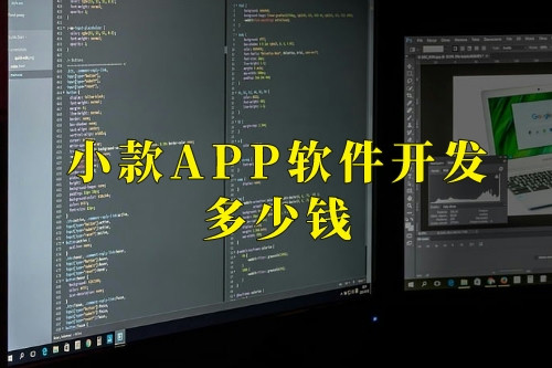 德州小款APP軟件開發多少錢(圖1)